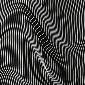 Meet your Posher, Maya